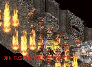 ��ο��ټ������ڴ���װ�����ԣ�