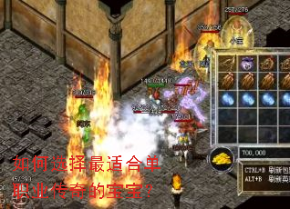 ���ѡ�����ʺϵ�ְҵ����ı�����