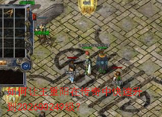 ������������ڴ����п�������202600249����