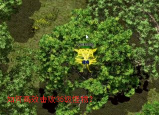 ��θ�Ч����35�����