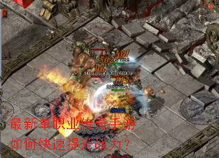 ���µ�ְҵ����������ο�������ս����