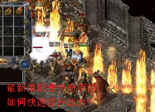 ���µ�ְҵ����������ο�������ս����