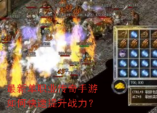 ���µ�ְҵ����������ο�������ս����