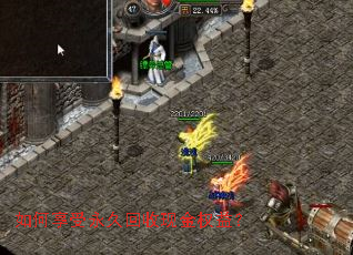 ����������û����ֽ�Ȩ�棿