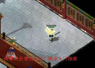 �������¼��ô�棿��������ָ��