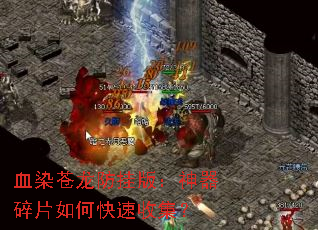 ѪȾ�������Ұ棺������Ƭ��ο����ռ���