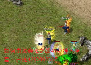 ��λ�������֮ս4947��ʥ�ޡ��׻�438200253��