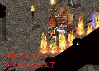��Ĺ10����ô�ߣ��ռ��߷���������