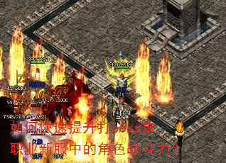 ��ο���������boss��ְҵ�·��еĽ�ɫս������