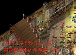 ��ο���������boss��ְҵ�·��еĽ�ɫս������