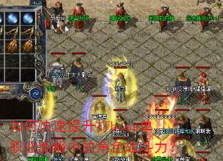 ��ο���������boss��ְҵ�·��еĽ�ɫս������