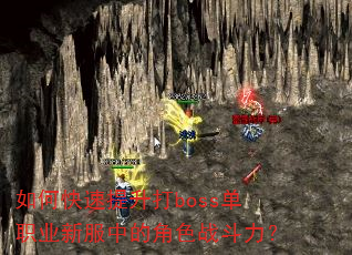 ��ο���������boss��ְҵ�·��еĽ�ɫս������