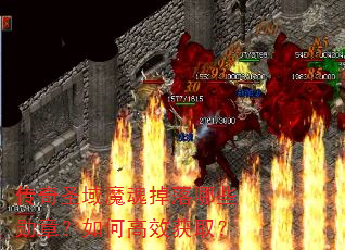 ����ʥ��ħ�������Щѫ�£���θ�Ч��ȡ��