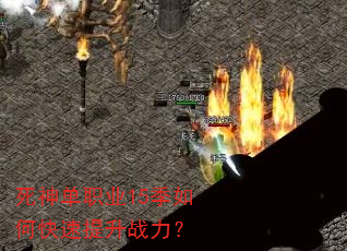 ����ְҵ15����ο�������ս����