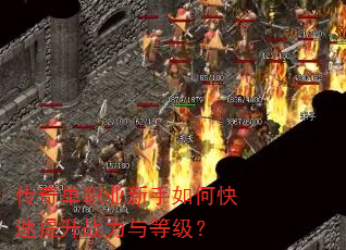 ���浥ְҵ������ο�������ս����ȼ���