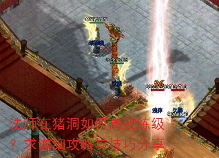 ��ʦ��������θ�Ч����������ϸ�����뼼�ɷ���