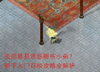 ��ʦ�����ջ���ЩС�ܣ����������ٻ�����ȫ����
