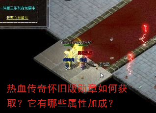��Ѫ���滳�ɰ�ѫ����λ�ȡ��������Щ���Լӳɣ�
