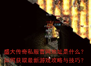ʢ����˽��������ַ��ʲô����λ�ȡ������Ϸ�����뼼�ɣ�