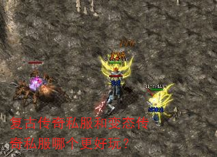 ���Ŵ���˽���ͱ�̬����˽���ĸ������棿