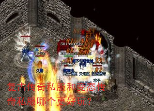 ���Ŵ���˽���ͱ�̬����˽���ĸ������棿