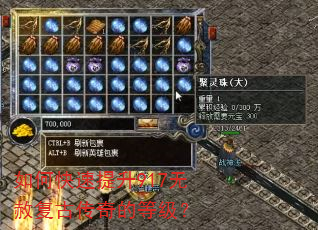 如何快速提升917无赦复古传奇的等级? 如何快速提升917无赦复古传奇的等级?