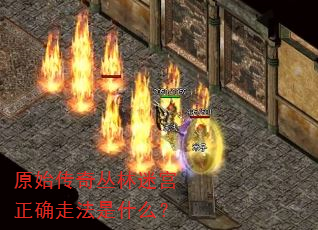 ԭʼ��������Թ���ȷ�߷���ʲô��