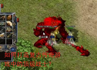 ��δ��츴�Ŵ�����Ϸ�еĶ���սʿ��