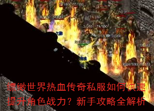 ���������Ѫ����˽����ο���������ɫս�������ֹ���ȫ����