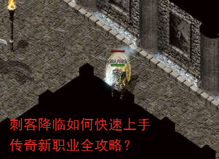 �̿ͽ�����ο������ִ�����ְҵȫ���ԣ�