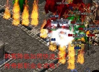 �̿ͽ�����ο������ִ�����ְҵȫ���ԣ�