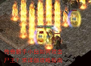 ��������С����ι���ʬ��������ϸ����ָ��