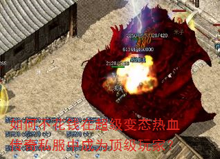 ��β���Ǯ�ڳ�����̬��Ѫ����˽���г�Ϊ������ң�