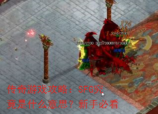 ������Ϸ���ԣ�SFG������ʲô��˼�����ֱؿ�
