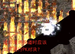 法师遭遇狗道时应该如何进行PK对决? 法师遭遇狗道时应该如何进行PK对决?
