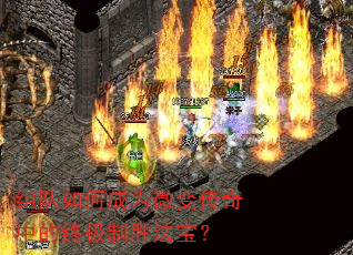 �����γ�Ϊ΢�䴫���е��ռ���ʤ������