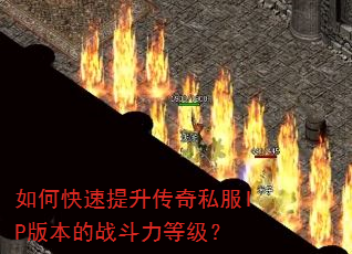��ο�����������˽��IP�汾��ս�����ȼ���