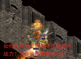 ����ڴ����̬���п�������ս����װ��ѡ������Щ���ɣ�