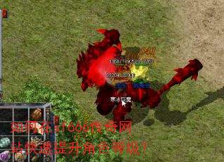 �����sf666������վ����������ɫ�ȼ���