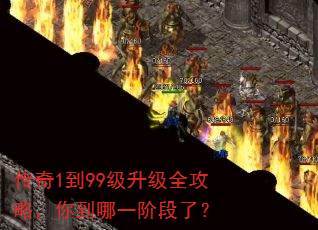 ����1��99������ȫ���ԣ��㵽��һ�׶��ˣ�