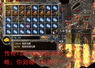 ����1��99������ȫ���ԣ��㵽��һ�׶��ˣ�