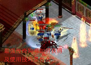 ��ǿ���湷����λ�ü�ʹ�ü�����ʲô��