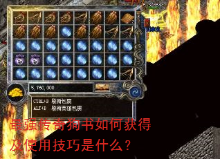 最强传奇狗书如何获得及使用技巧是什么? 最强传奇狗书如何获得及使用技巧是什么?