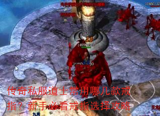 ����˽����ʿ�����ļ����ָ�����ֱؿ���ָѡ����