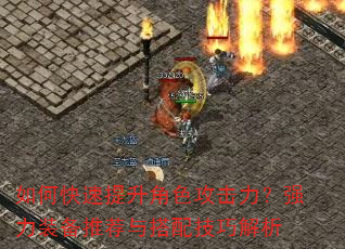 ��ο���������ɫ��������ǿ��װ���Ƽ�����似�ɽ���