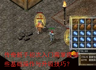 �������ֳ���������������Щ�����������������ɣ�