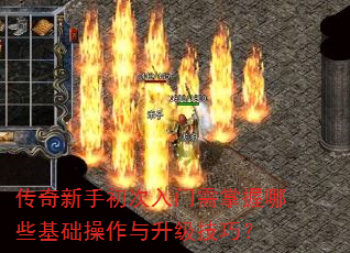 �������ֳ���������������Щ�����������������ɣ�