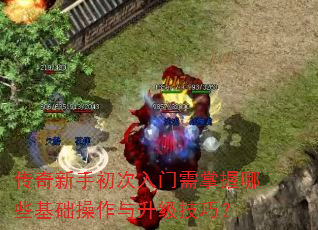 �������ֳ���������������Щ�����������������ɣ�