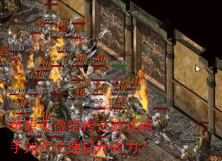 ��ְҵ΢�˴�����Ϸ������ο�������ս����