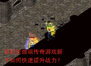 ��ְҵ΢�˴�����Ϸ������ο�������ս����